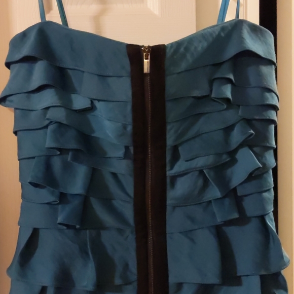 BCBGMaxAzria Brandi Dress - Picture 8 of 8